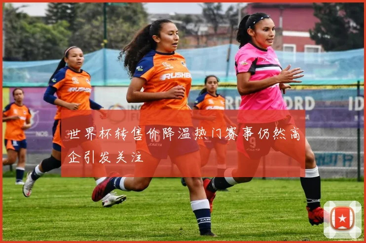 世界杯转售价降温热门赛事仍然高企引发关注